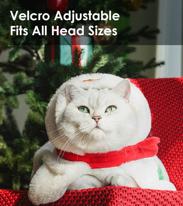 Gift Set Cat Christmas Costumes