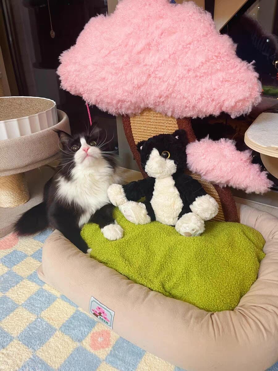 Sakura Pink Cat Bed