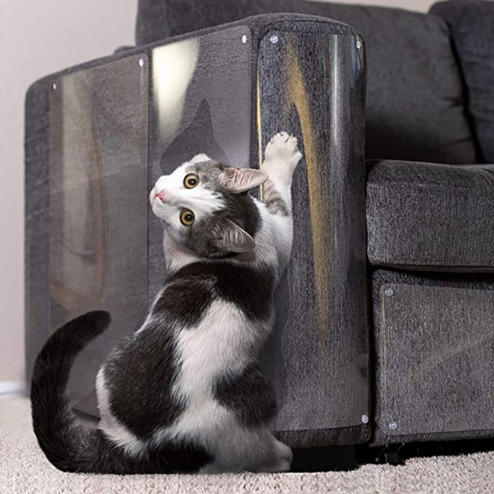 Transparent Furniture Protector.