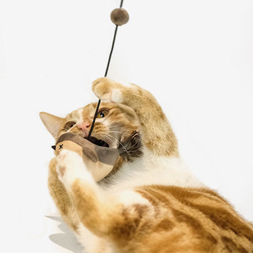 Elastic Cord Flying Bird Cat Toy