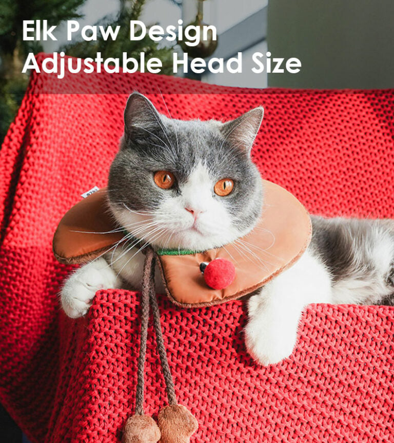 Gift Set Cat Christmas Costumes