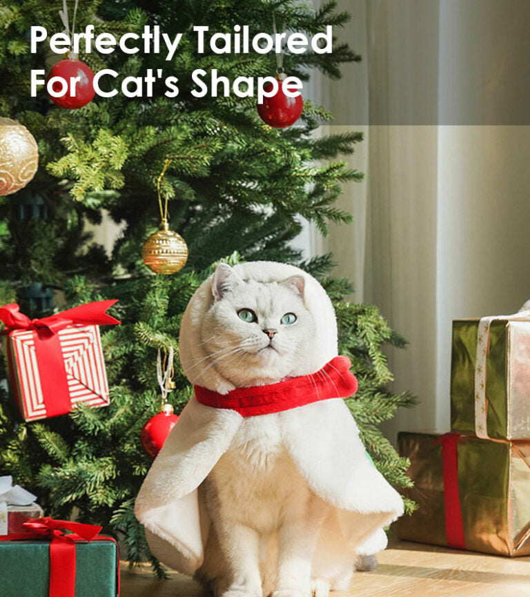 Gift Set Cat Christmas Costumes