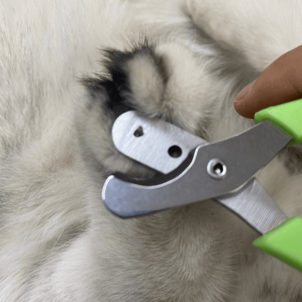 Cat Nail Clippers.