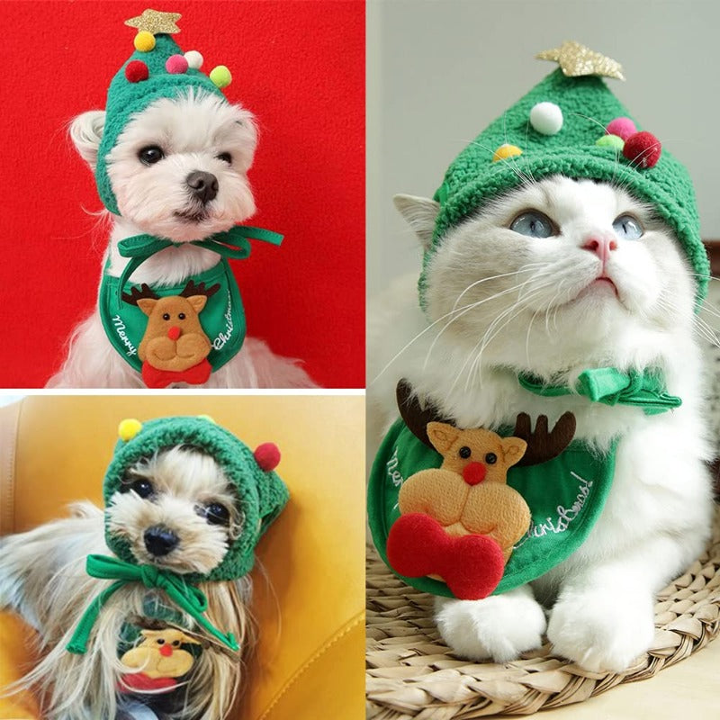 Christmas Tree Cat Hat.