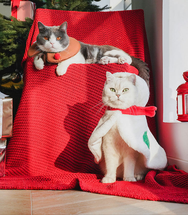 Gift Set Cat Christmas Costumes