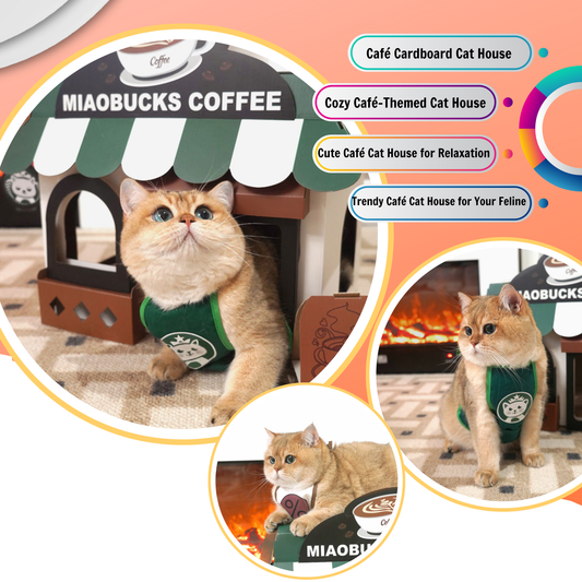 Cafe Cardboard Cat House