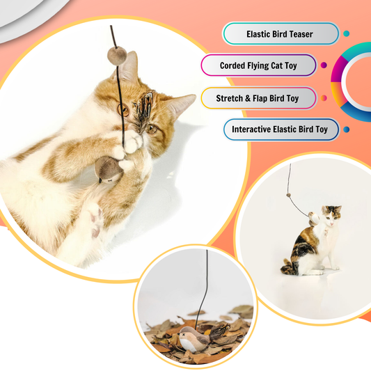 Elastic Cord Flying Bird Cat Toy