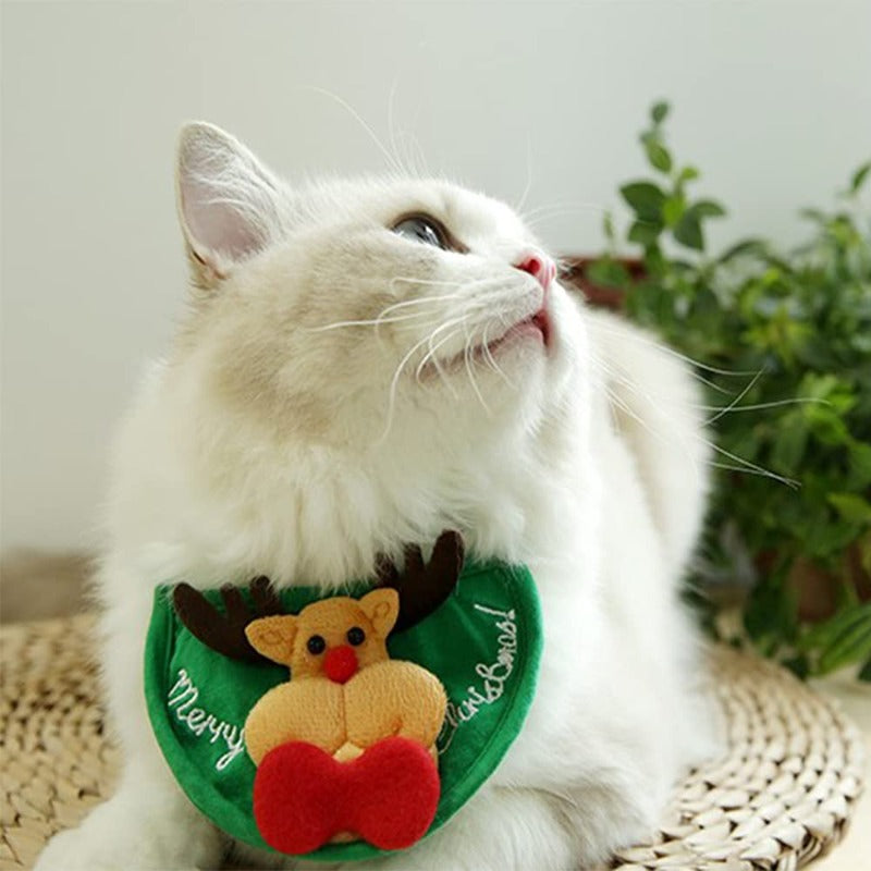 Christmas Tree Cat Hat.
