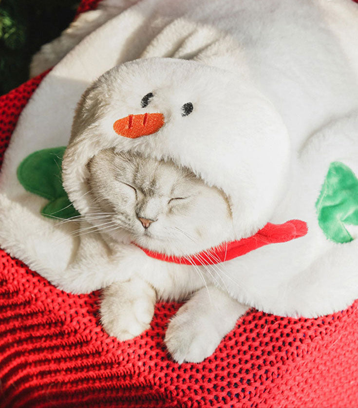 Gift Set Cat Christmas Costumes