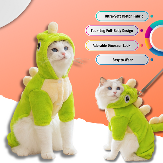Pet dinosaur costume.