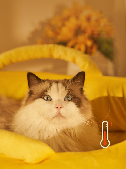 Banana Cat Bed
