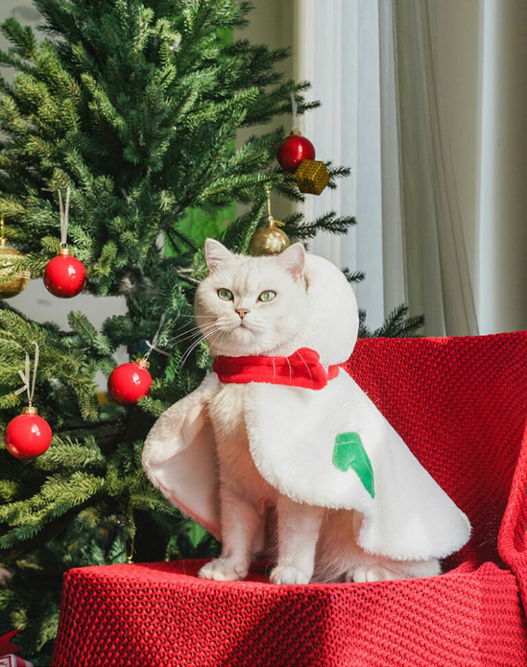 Gift Set Cat Christmas Costumes