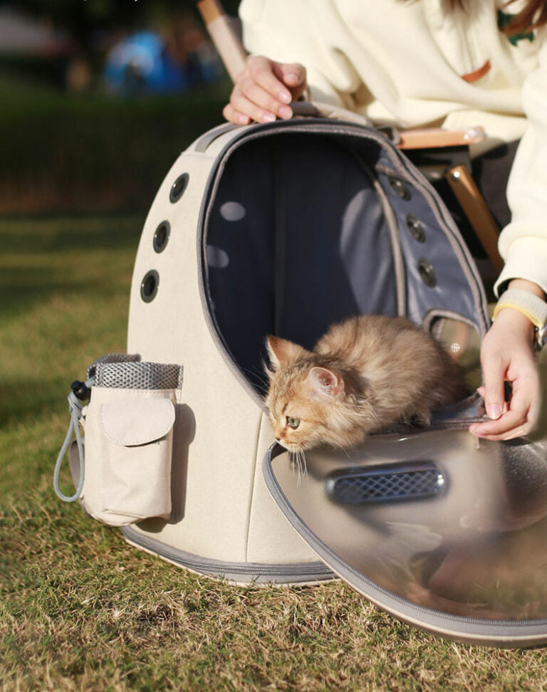Frosted Semi-Transparent Cat Spaceship Backpack