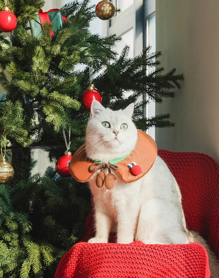 Gift Set Cat Christmas Costumes