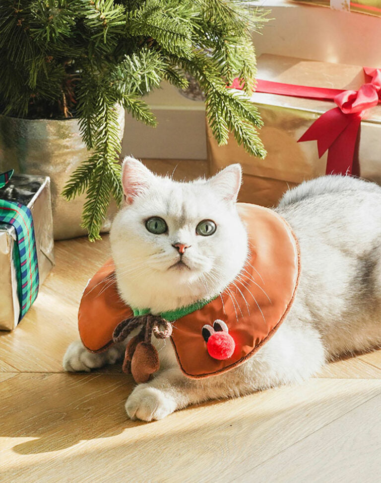 Gift Set Cat Christmas Costumes