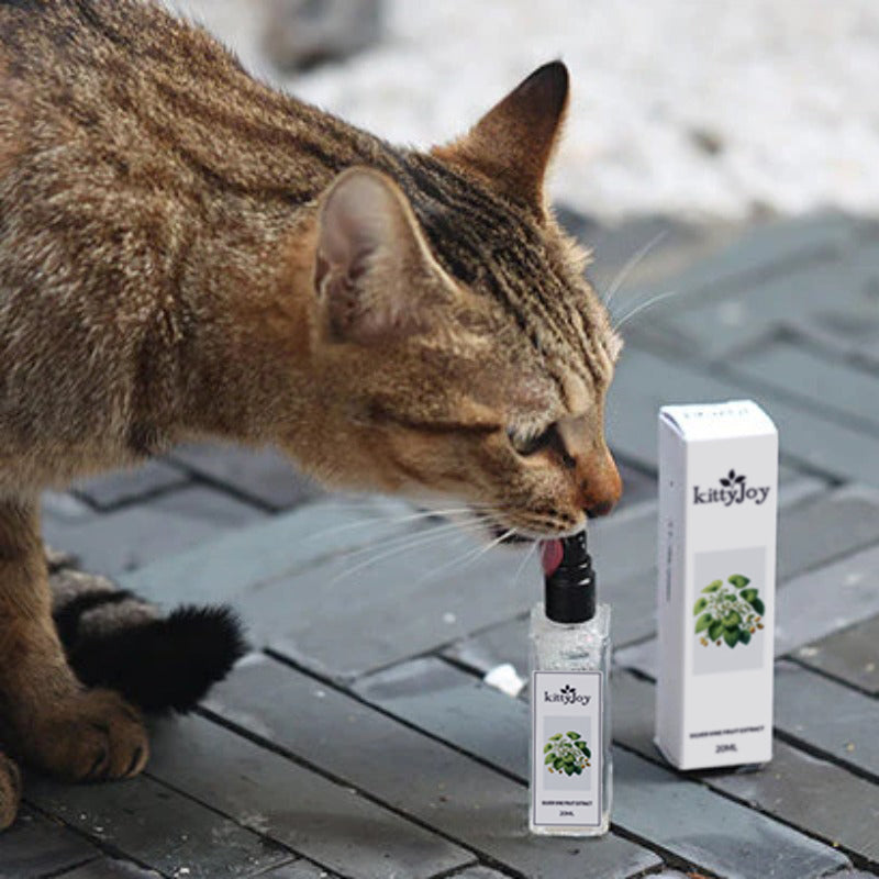 Herbal Cat Joy.