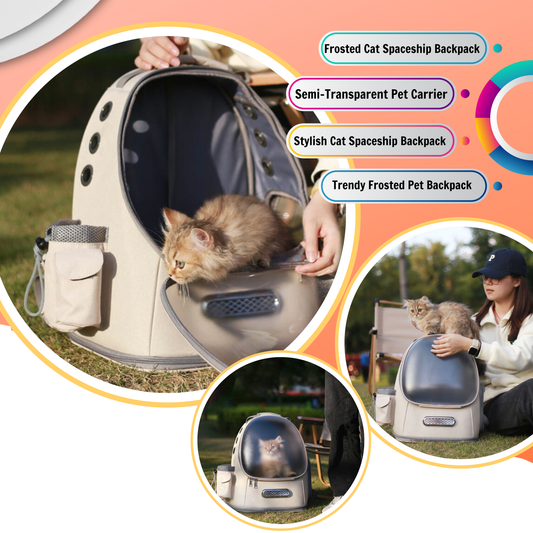 Frosted Semi-Transparent Cat Spaceship Backpack